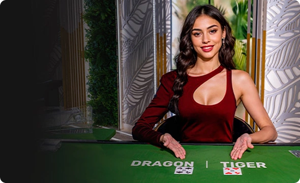 Live Casino Live Casino